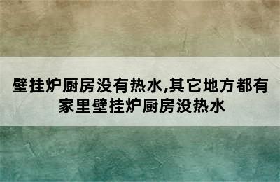 壁挂炉厨房没有热水,其它地方都有 家里壁挂炉厨房没热水